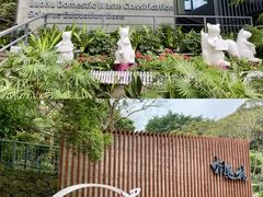 -银湖山郊野公园-相思林