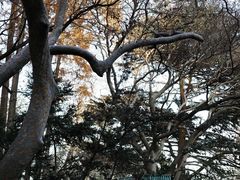 -中山公园