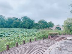 -桃花岛景观公园
