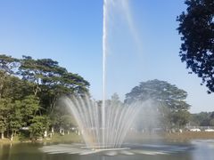-东莞植物园