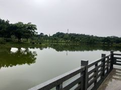 -东莞植物园