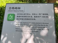 -南北湖风景区