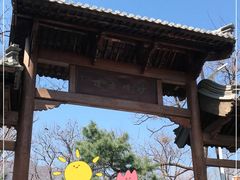 -阳台山自然风景区