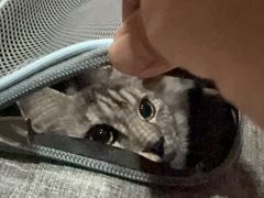 -美迦爱-牙专科·兔科·骨科诊疗中心(北苑店)
