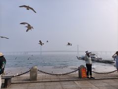 -星海广场