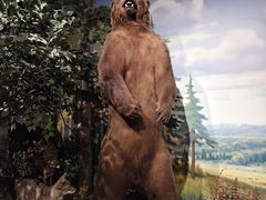 -陕西自然博物馆