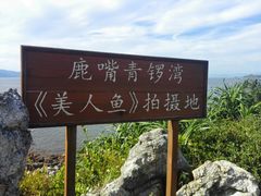 -杨梅坑