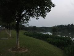 -艾溪湖湿地公园