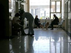 -康旭宠物医院(郑州总院)