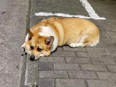 -阿木舂记·特色小吃(平江路店)