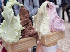 -柠檬车露(卖草地店)