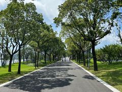 -东钱湖小普陀景区