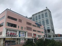 -台场海滨公园船码头