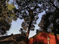 -成都市文殊院