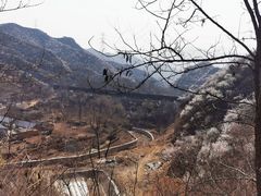 -大岭沟猕猴桃谷风景区