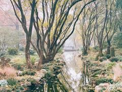 -上海共青森林公园