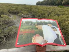 -北海金海湾红树林生态旅游区