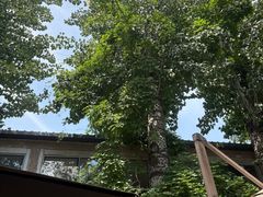 -VOYAGE COFFEE 咖啡烘焙工坊店(798艺术区店)