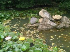 -镇江市南山风景名胜区竹林景区