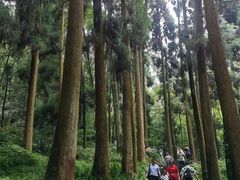-青城山