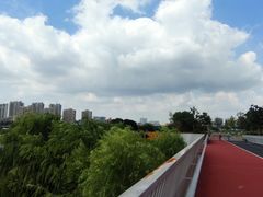 -上海山野camping·户外天幕烧烤·团建拓展营地