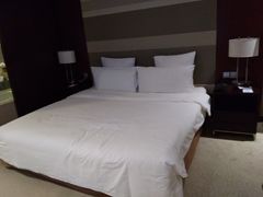 -南桥绿地铂骊酒店