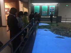 -中国港口博物馆