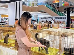 -帕帕拉兹宠物(亚洲旗舰店)