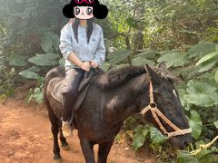 -海南热带野生动植物园