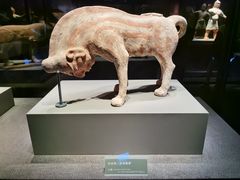 -大同市博物馆