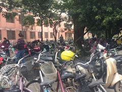 -广西大学(大学东路校区)