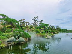 -罗红摄影艺术馆