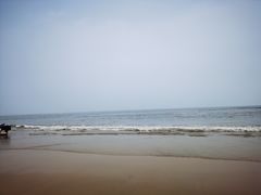-日照海滨国家森林公园