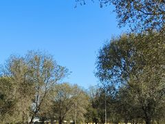 -北京群众马术培训基地