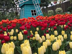 -南宫五洲植物乐园