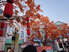 -沈阳方特欢乐世界