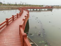 -润记农家菜