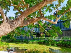 -星巴克(深圳前海企业公馆店)