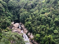 -海南热带雨林国家公园吊罗山景区