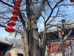 -红螺寺