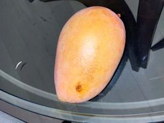 -三亚新鸿港水果一级批发市场