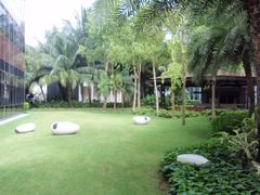 -武吉知马自然保护区