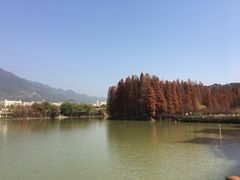 -星湖旅游景区七星岩