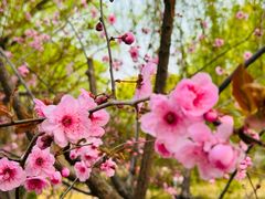 -皇家御河游(紫御湾码头)