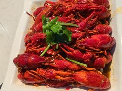 -海岛八号龙虾烧烤田鸡(蓝天路总店)