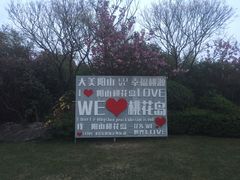 -桃花岛景观公园