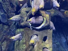 -珠海长隆海洋王国