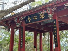 -乌山风景区