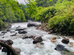 -石台牯牛降景区