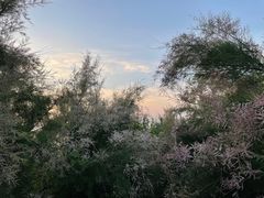 -小石岛景区